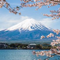 Jalan jalan Wisata ke Mount-Fuji Jepang